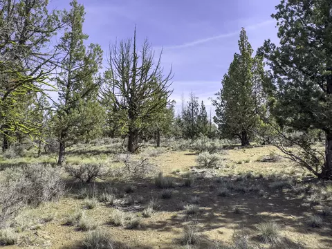 67372 Harrington Loop Rd, Bend, OR 97703 photo 20
