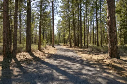 50750 Deer Forest Dr, La Pine, OR 97739