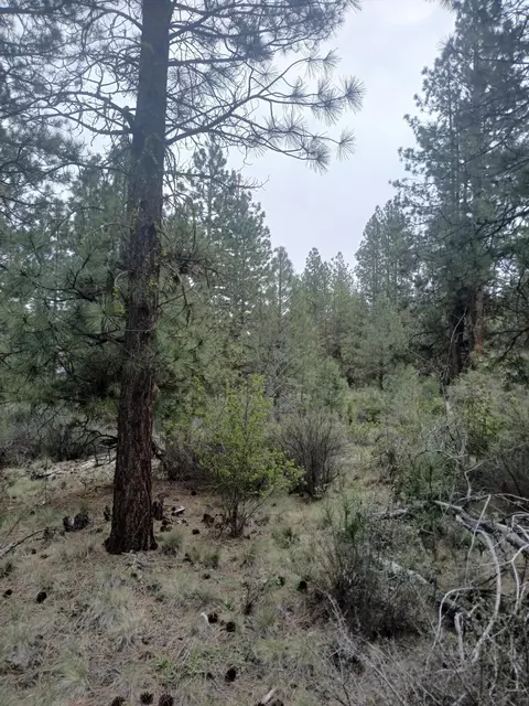 0 Tableland Rd, Chiloquin, OR 97624