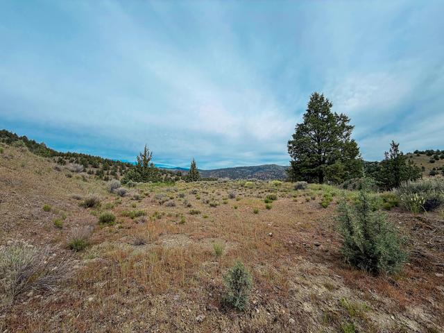 Luce Creek Road, John Day, OR 97845