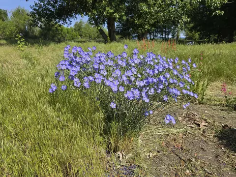 32158 Modoc Point Rd, Chiloquin, OR 97624 photo 19