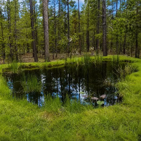Other - 15789 Deedon Ln, La Pine, OR 97739 photo 11 of 11
