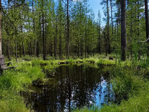 Other - 15789 Deedon Ln, La Pine, OR 97739 photo 10 of 11