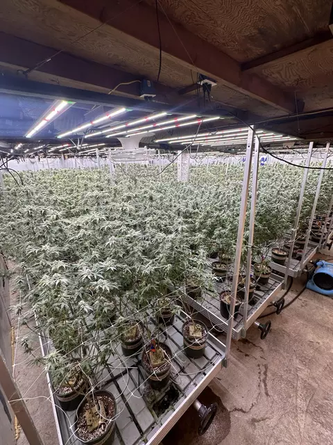 Undisclosed, Yamhill, OR 97148