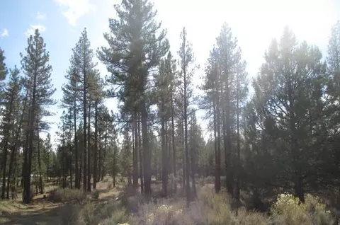 0 Pheasant Ln #16, Chiloquin, OR 97624