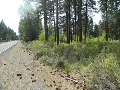 3000 Hwy 422 N #3000, Chiloquin, OR 97624