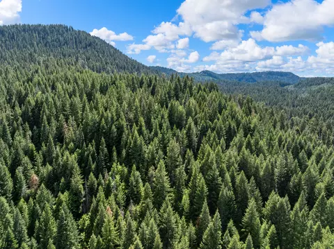 View/Area - 25232 Highway 140, Eagle Point, OR 97524 photo 9 of 12