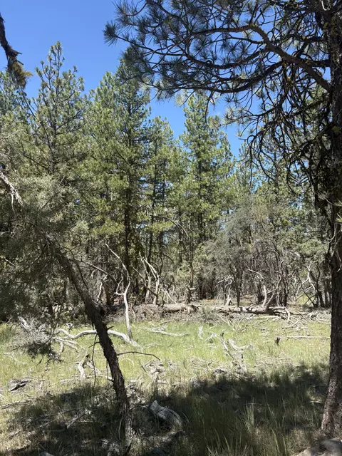 0 Chickadee Dr #LOT 10, Bonanza, OR 97623