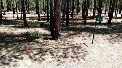 14846 Curlleaf, La Pine, OR 97739