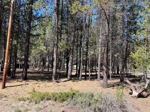 Exterior - 52360 Ammon Rd, La Pine, OR 97739 photo 17 of 17
