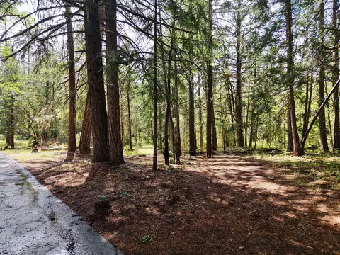 42256 Highway 62, Prospect, OR 97536 photo 40