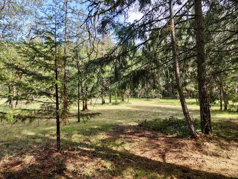 42256 Highway 62, Prospect, OR 97536 photo 39