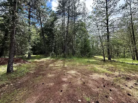 42256 Highway 62, Prospect, OR 97536 photo 28