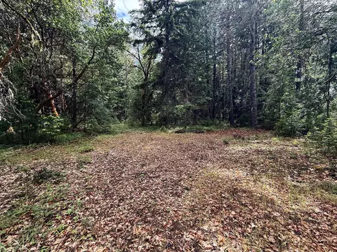 42256 Highway 62, Prospect, OR 97536 photo 29