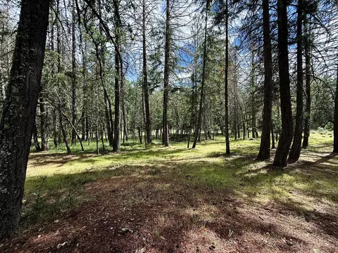 42256 Highway 62, Prospect, OR 97536 photo 25