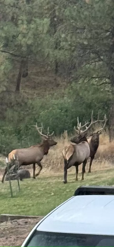 Other - 61702 Middle Fork Rd, Long Creek, OR 97856 photo 15 of 16