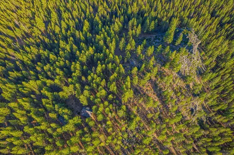 View/Area - 54655 Jack Pine Rd, Bend, OR 97707 photo 5 of 6
