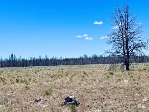 0 White Birch Ln #LOT 4, Bly, OR 97622