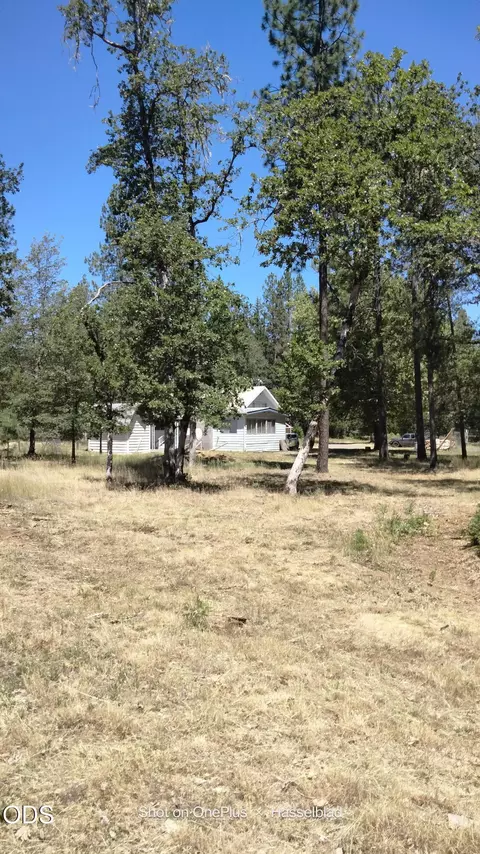 575 Kirkham Rd, Cave Junction, OR 97523 photo 45
