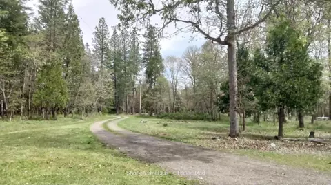 575 Kirkham Rd, Cave Junction, OR 97523 photo 3