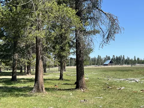 151772 Beal Rd, La Pine, OR 97739 photo 5