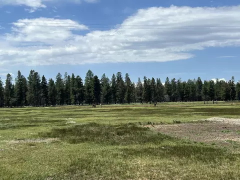 151772 Beal Rd, La Pine, OR 97739 photo 6