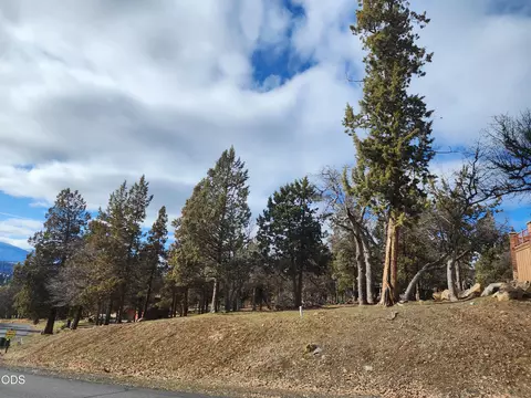 coopers hawk, Klamath Falls, OR 97601