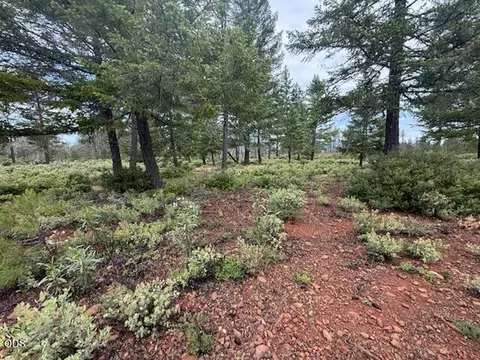 32001 Redwood Hwy, Cave Junction, OR 97523