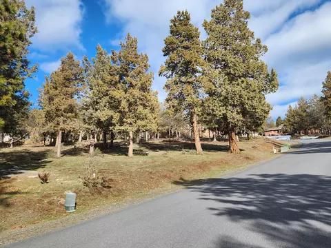 coopers hawk, Klamath Falls, OR 97601