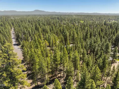 51600 Pine Loop Dr, La Pine, OR 97739 photo 9