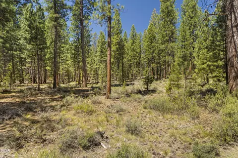 51600 Pine Loop Dr, La Pine, OR 97739 photo 12
