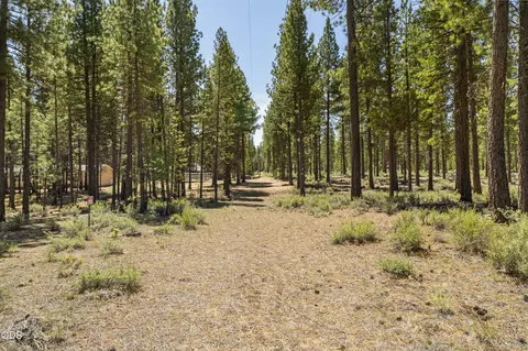 51600 Pine Loop Dr, La Pine, OR 97739 photo 14
