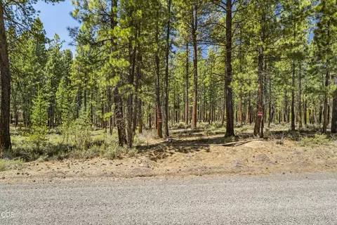 51600 Pine Loop Dr, La Pine, OR 97739 photo 11