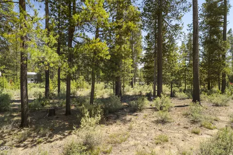 51600 Pine Loop Dr, La Pine, OR 97739 photo 20