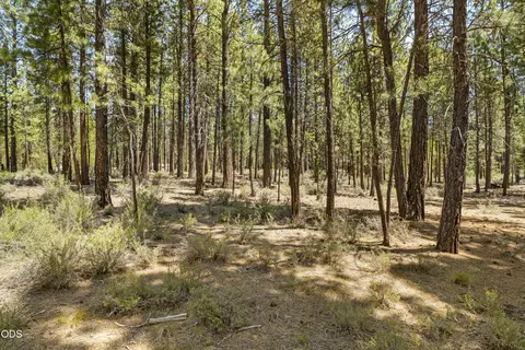 51600 Pine Loop Dr, La Pine, OR 97739 photo 13