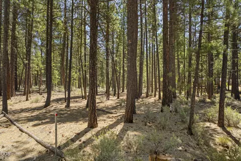 51600 Pine Loop Dr, La Pine, OR 97739 photo 15