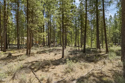 51600 Pine Loop Dr, La Pine, OR 97739 photo 17