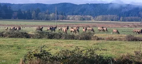 16333 Siletz Hwy, Lincoln City, OR 97367