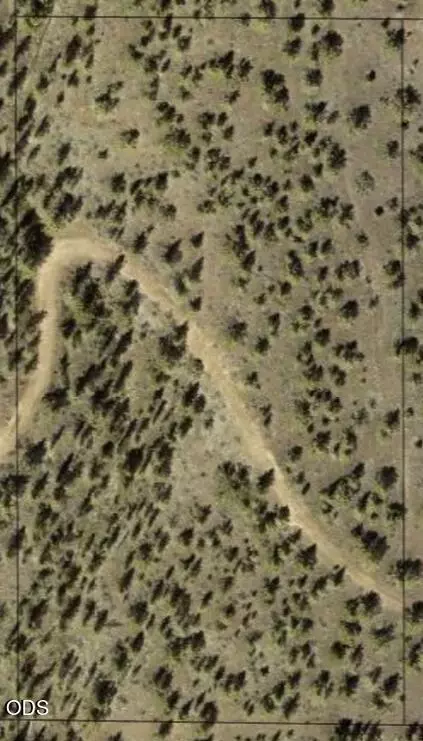 simpson road, Prineville, OR 97754