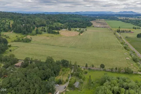 View/Area - 38289 S Ruby Loop, Scio, OR 97374 photo 4 of 7