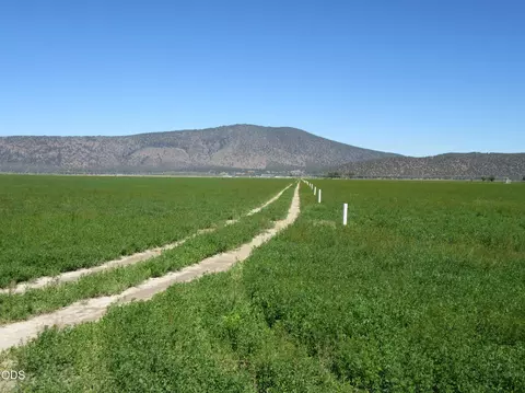 Other - 2917 Shady Dell Rd, Macdoel, CA 96058 photo 30 of 37