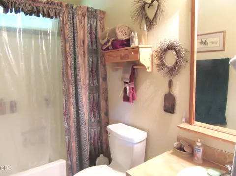Bath - 2917 Shady Dell Rd, Macdoel, CA 96058 photo 2 of 4