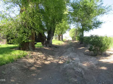 Exterior - 2917 Shady Dell Rd, Macdoel, CA 96058 photo 11 of 21