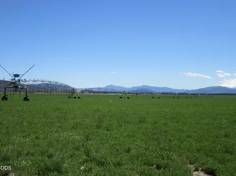 Other - 2917 Shady Dell Rd, Macdoel, CA 96058 photo 25 of 37