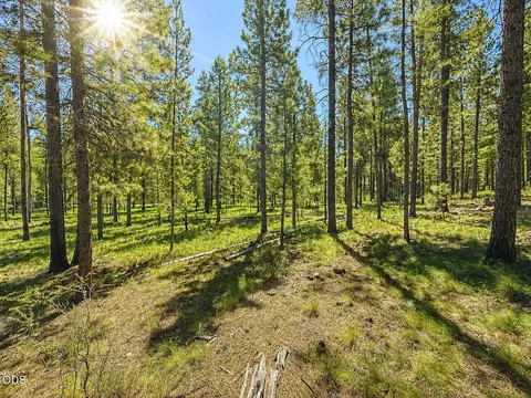 16575 Stage Stop Dr, Bend, OR 97707 photo 2