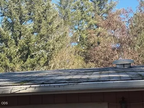 Other - 235 Shadowbrook Dr, Cave Junction, OR 97523 photo 7 of 8