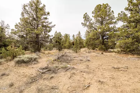 Exterior - 22305 Neff Rd, Bend, OR 97701 photo 16 of 16