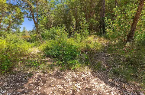 11230 Lower River Rd, Grants Pass, OR 97526 photo 25