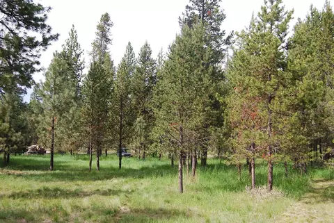 16245 Bear Ln, Bend, OR 97707 photo 6