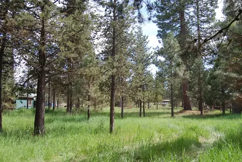 16245 Bear Ln, Bend, OR 97707 photo 3